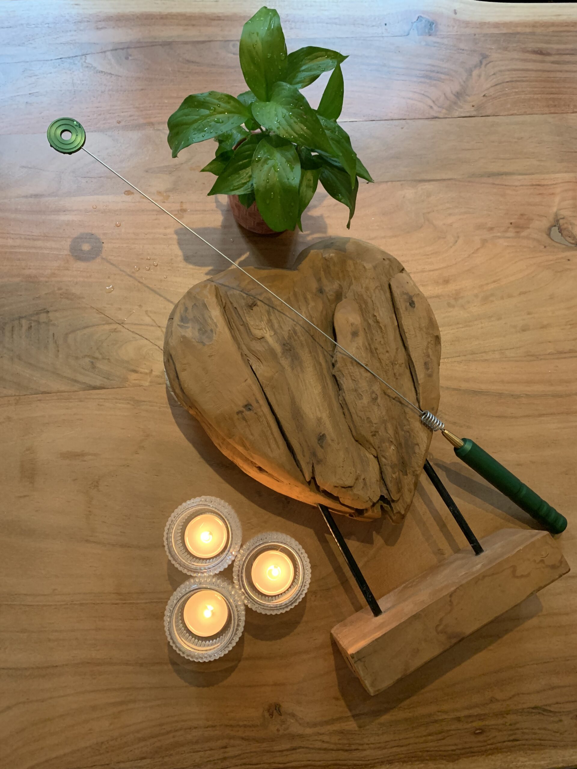 NEI Therapie, wat is dat? foto biotensor met houten hart